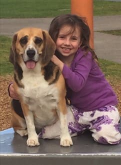 beagle-with-young-child